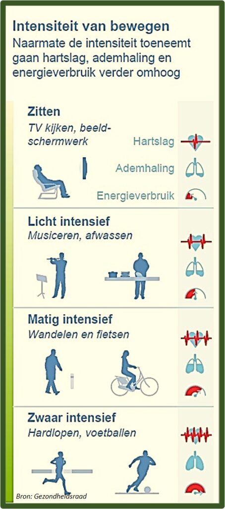 Meer bewegen verbetert je gezondheid en helpt bij afvallen.  De Gezondheidsraad heeft Beweegrichtlijnen opgesteld.