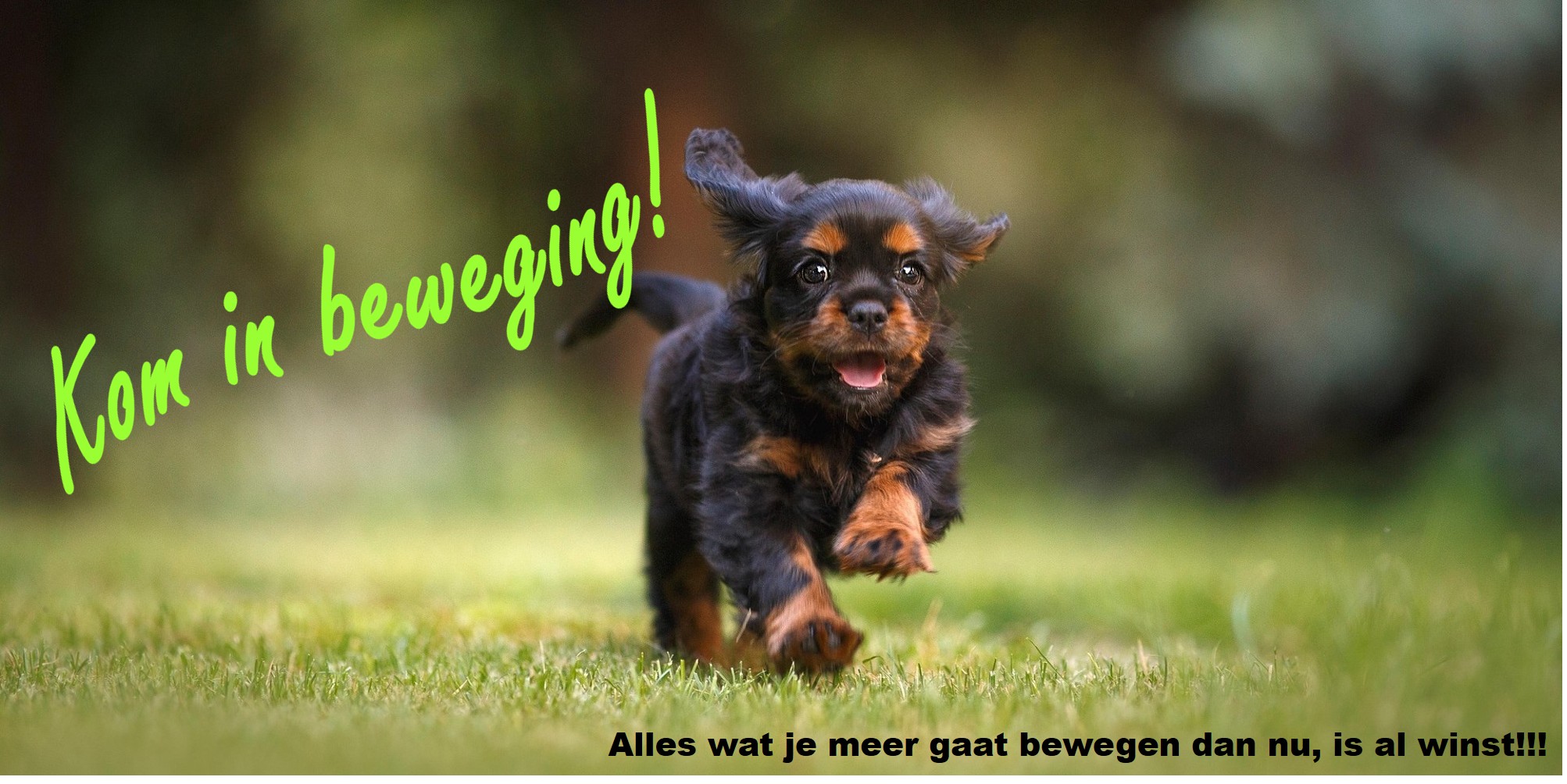 Meer bewegen verbetert je gezondheid en helpt bij afvallen