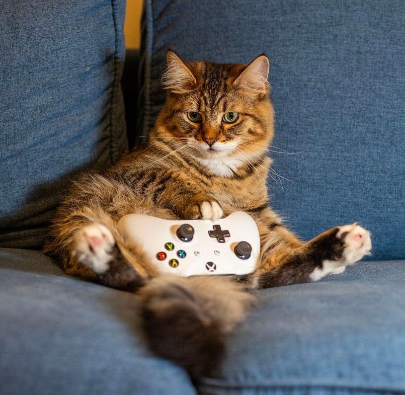 Meer bewegen verbetert je gezondheid en helpt bij afvallen, terwijl wij tegenwoordig juist steeds meer tijd zittend doorbrengen.